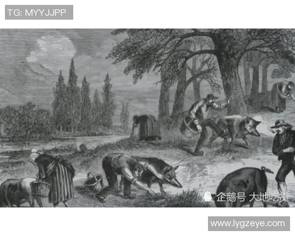 世界上最贵的足球球星卡多少钱你知道吗？探索足球卡的收藏价值与投资潜力